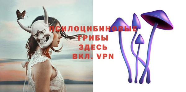 экстази Пересвет
