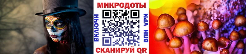 цена наркотик  Лысково  мега как зайти  Псилоцибиновые грибы Cubensis 
